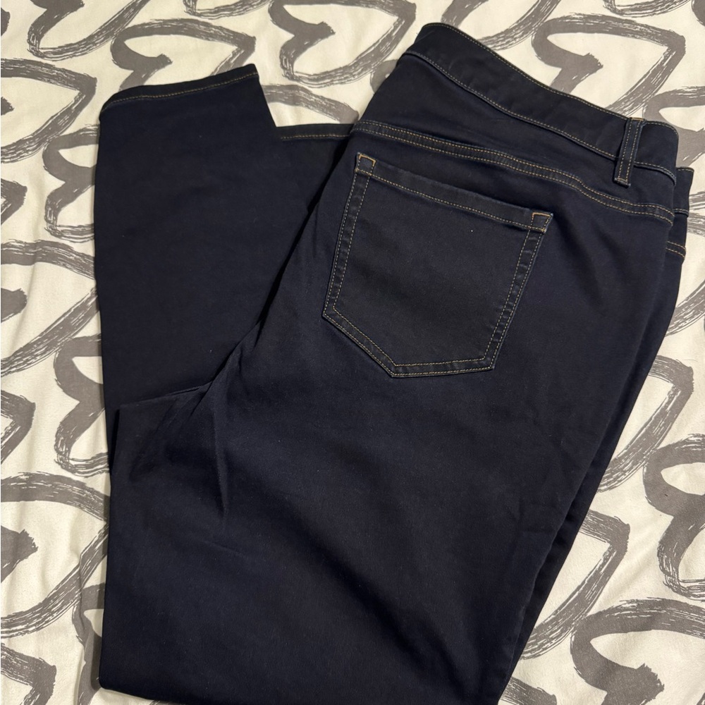 Lane Bryant Dark Blue Women's Jeggings